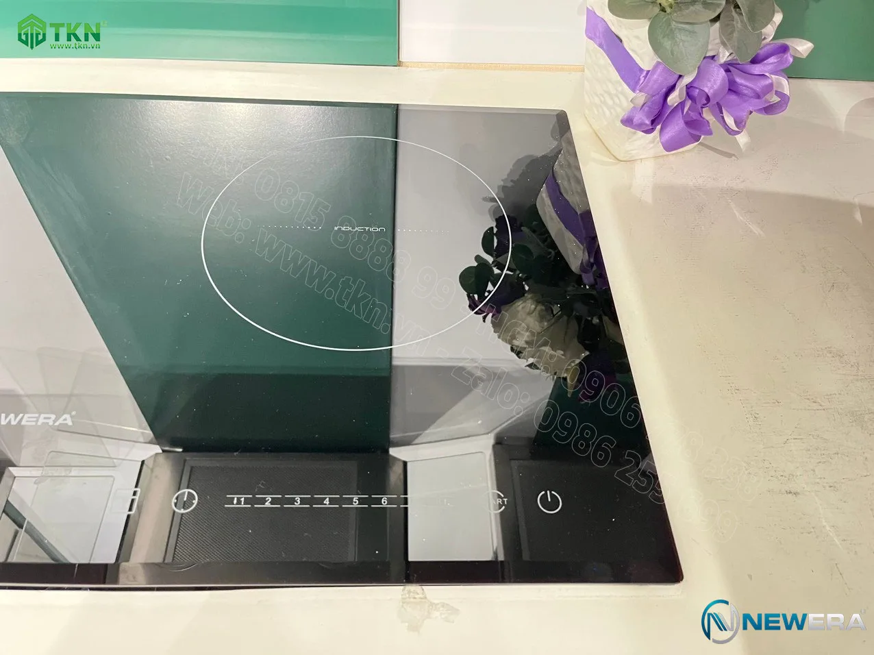 bep dien tu doi ne80c2v 3 1