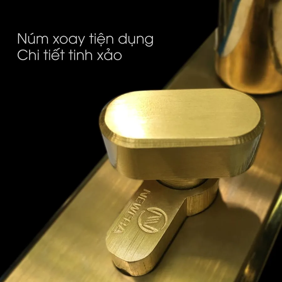 Khóa cửa chính NewEra NE0909MA 1