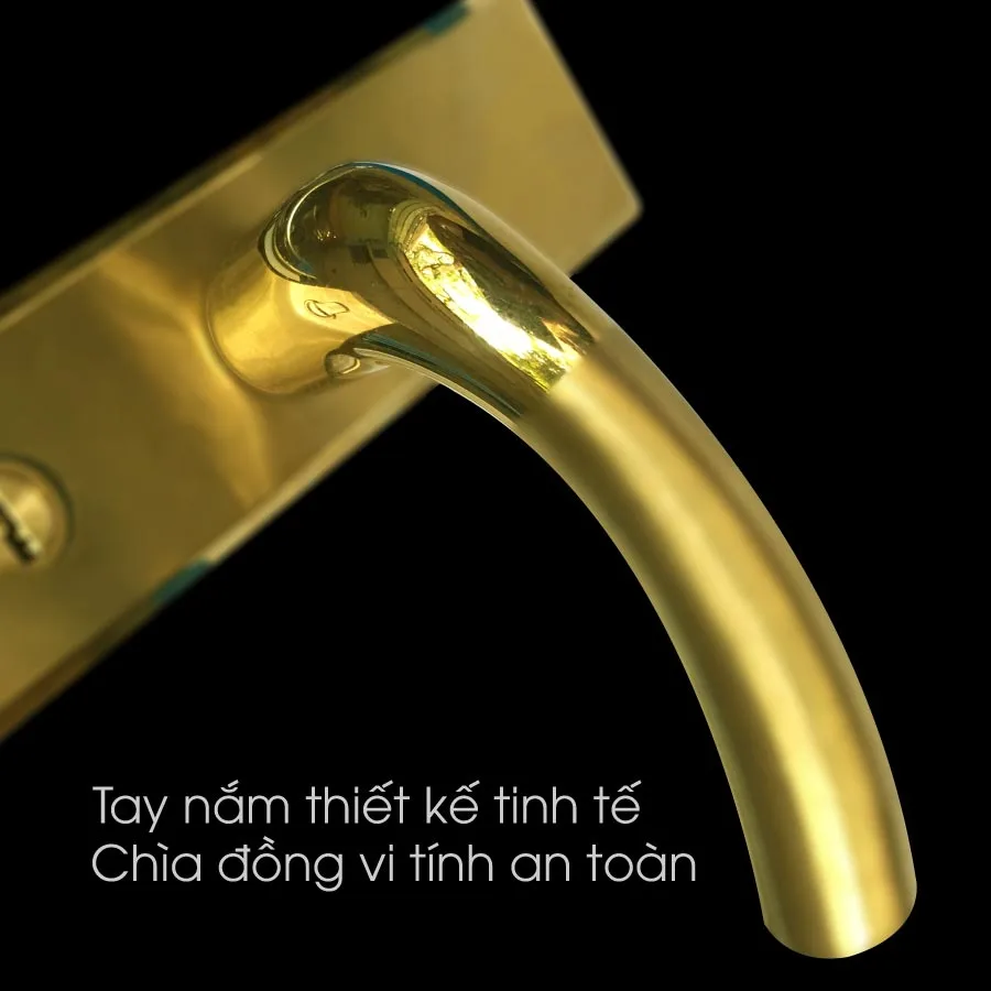 Khóa cửa chính NewEra NE0909MA 2