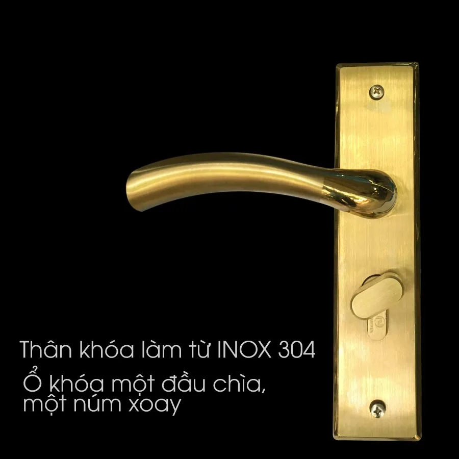 Khóa cửa chính NewEra NE0909MA 3