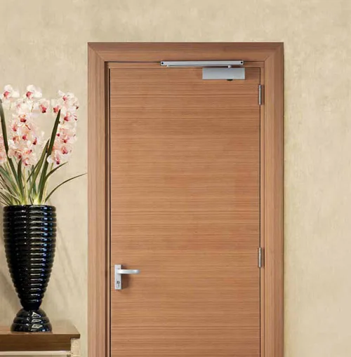 Tay co thủy lực NewEra tải trọng 100kg TS100H 1