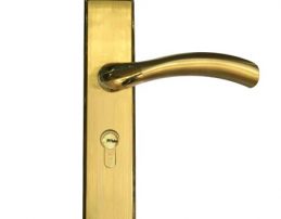 Khóa cửa chính NE0909MA