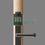 Khóa cửa thẻ từ Dessmann bàn phím số C510