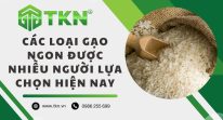 Các loại gạo ngon nhất Việt Nam được nhiều người tin dùng