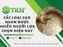 Các loại gạo ngon nhất Việt Nam được nhiều người tin dùng