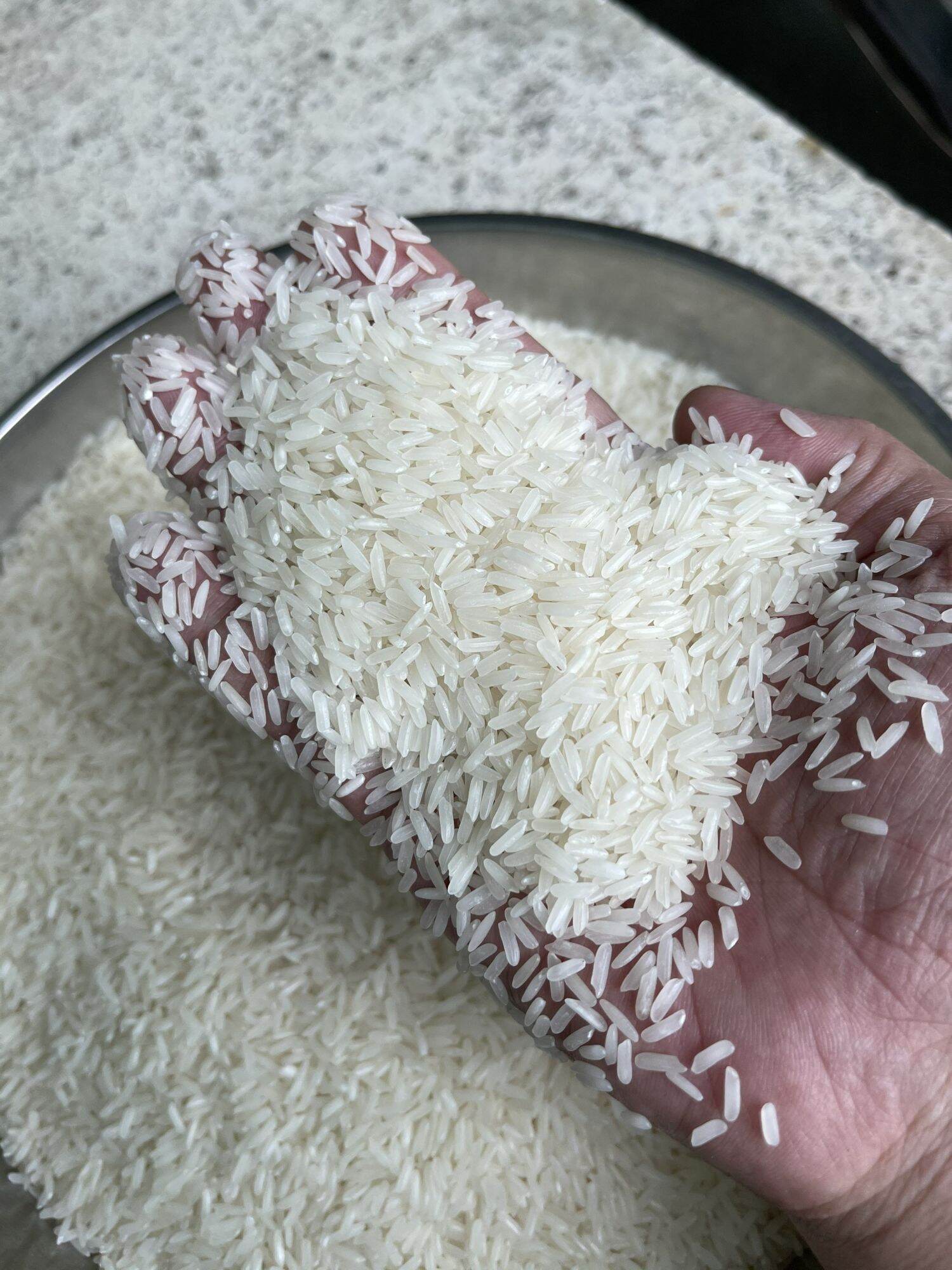 giá các loại gạo trên thị trường
