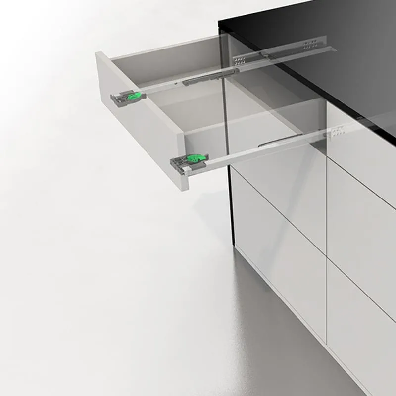 Ray trượt Grass Dynaneo EB 21, mở toàn phần, giảm chấn DN137.500F