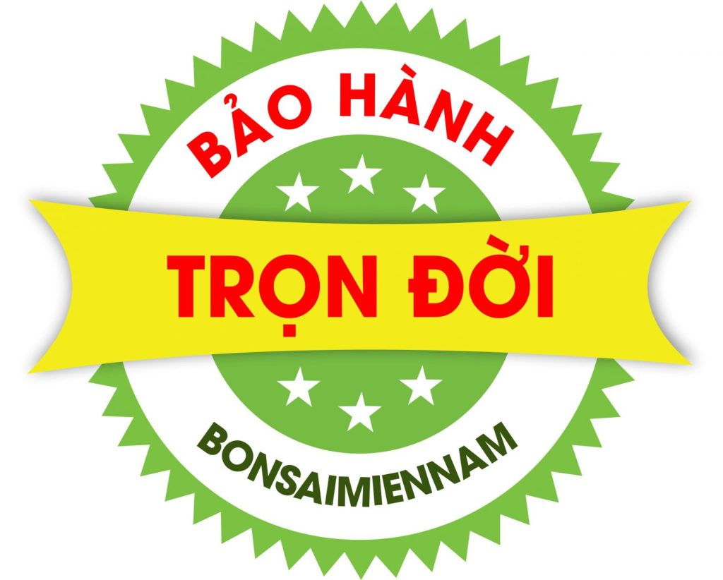 bao hanh tron doi