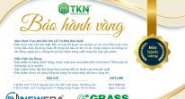 Chính Sách Bảo Hành Vàng Của NewEra: Lời Cam Kết Vững Chắc Về Chất Lượng Vượt Thời Gian